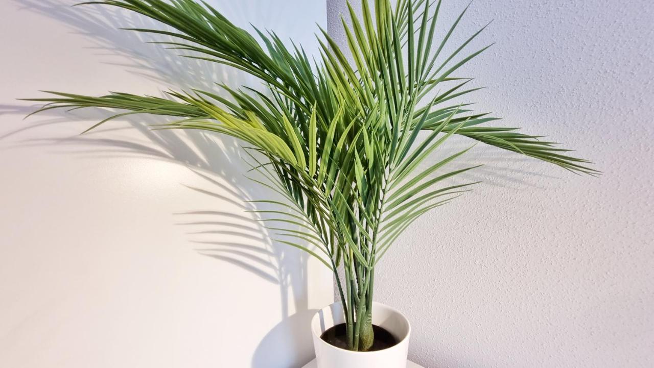 Chez Jm - Calme - Chic - Fibre - Relax Bnb مُلووز المظهر الخارجي الصورة
